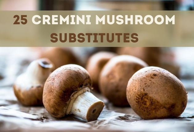 Cremini mushrooms substitute