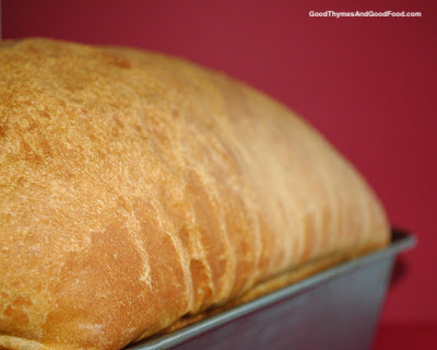 American Sandwich Bread